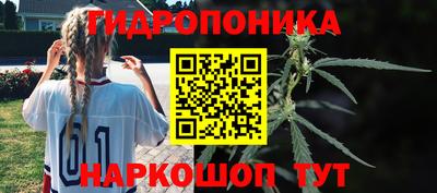 бошки Новозыбков