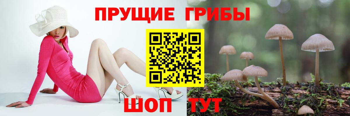 Галлюциногенные грибы GOLDEN TEACHER Сургут